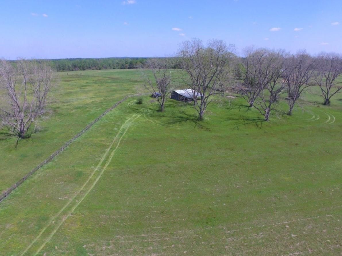 County Road 6, Castleberry, AL 36432 LandWatch