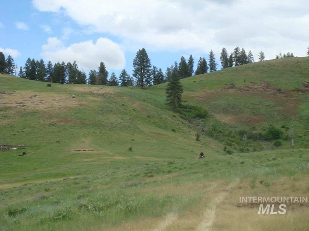 Grangeville, Idaho County, ID Undeveloped Land for sale Property ID