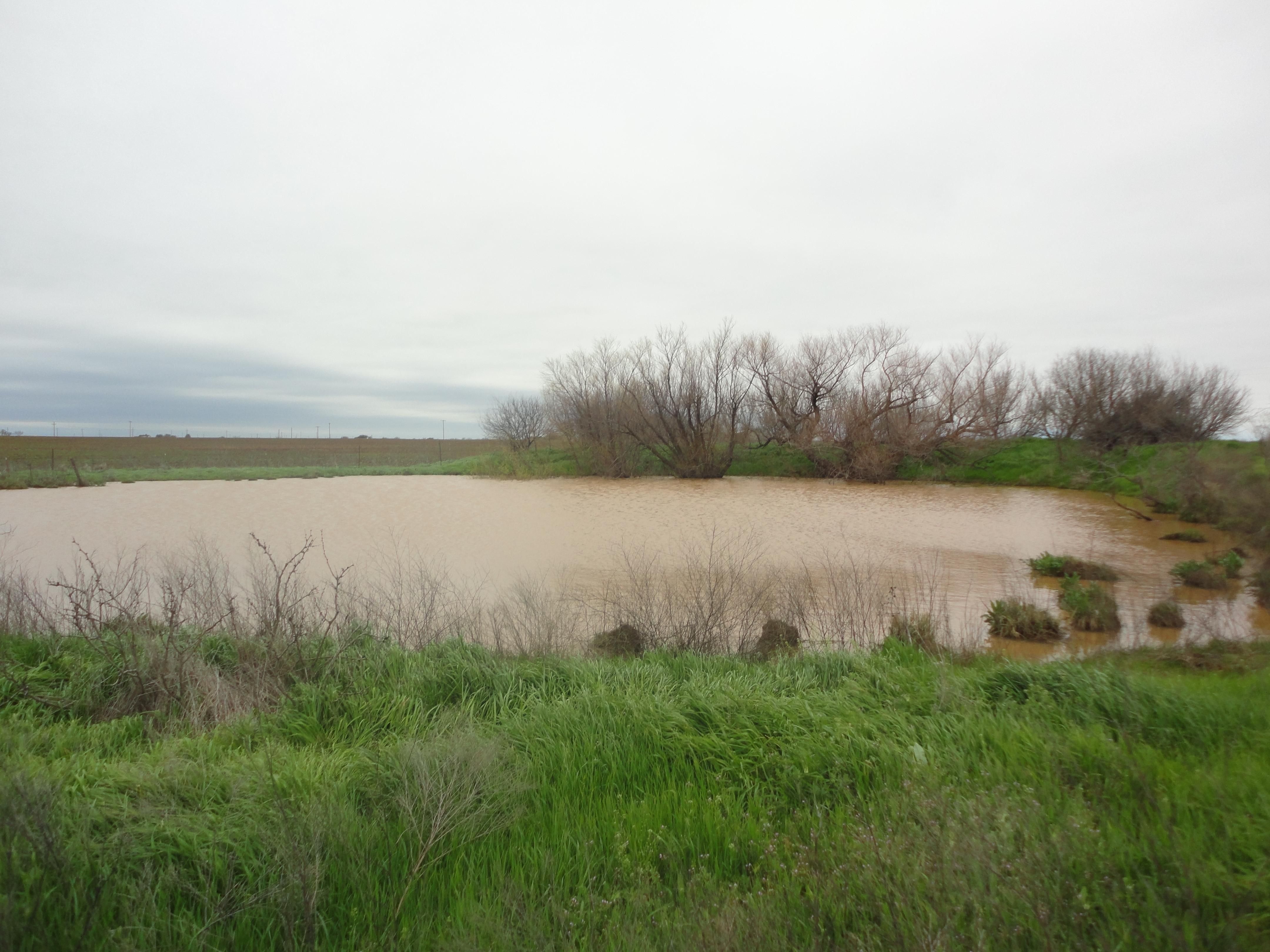 Loving, Young County, TX Farms and Ranches, Recreational Property, Hunting Property for sale