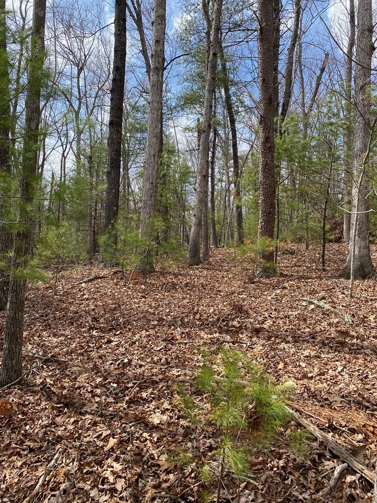 Woolwine, Patrick County, VA Undeveloped Land for sale Property ID