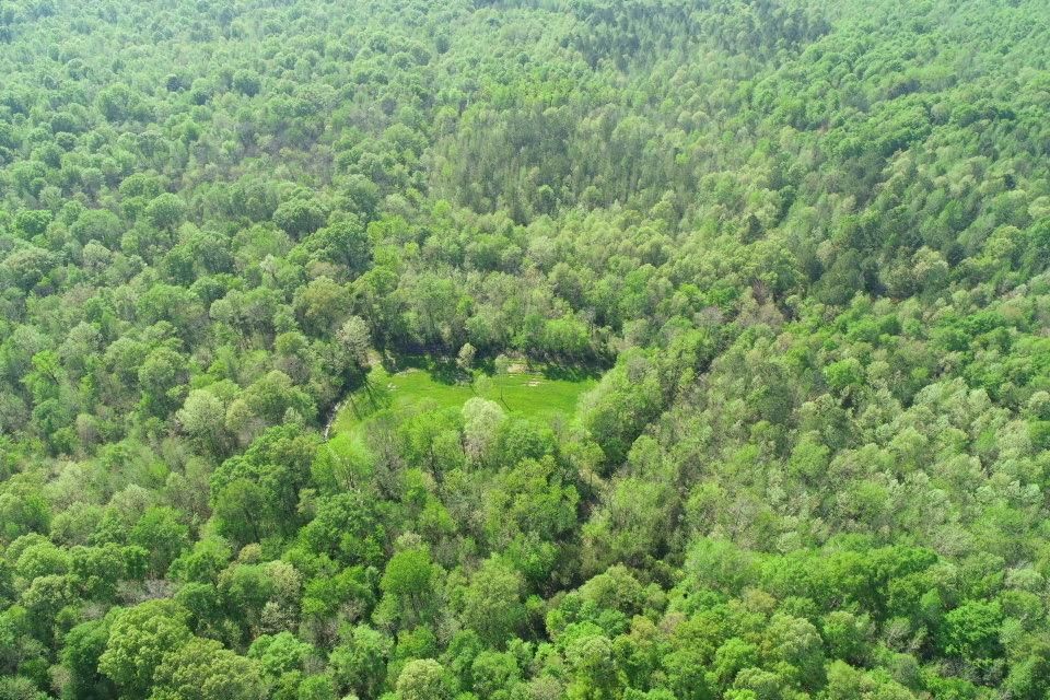Bogue Chitto, Dallas County, AL Recreational Property, Timberland