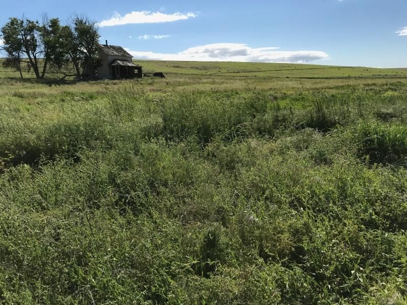 Heppner, Morrow County, OR Farms and Ranches, Hunting Property for sale Property ID 407385279