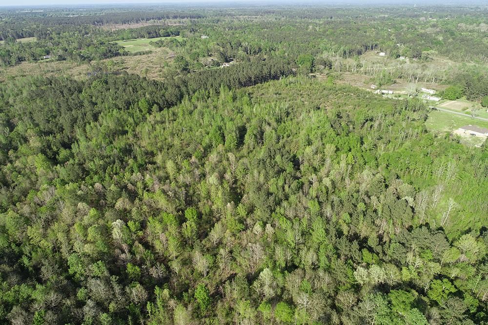 Soso, Jones County, MS for sale Property ID 337741074 LandWatch