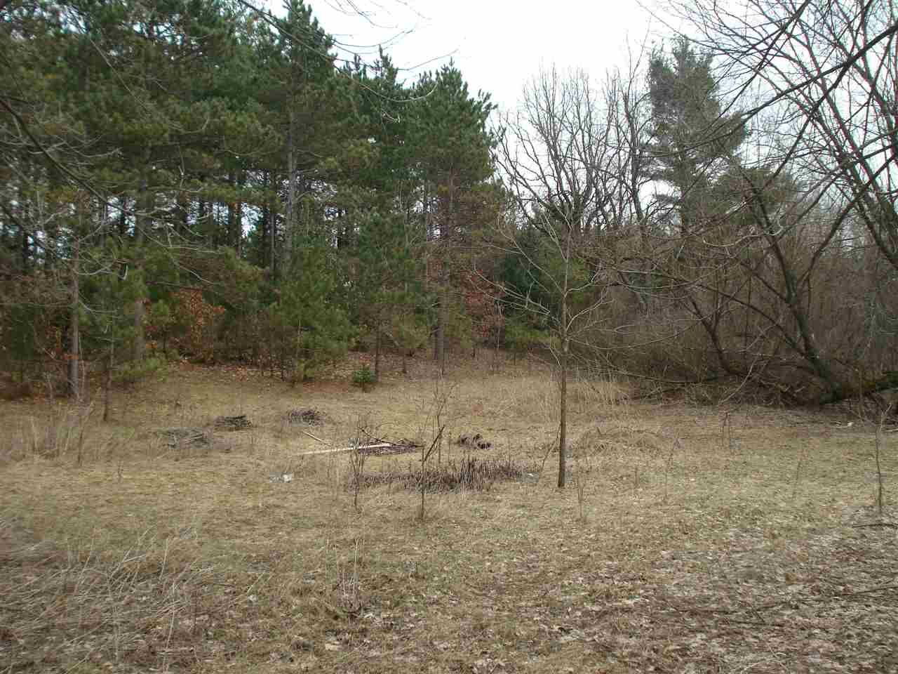 Almond, Portage County, WI Undeveloped Land for sale Property ID