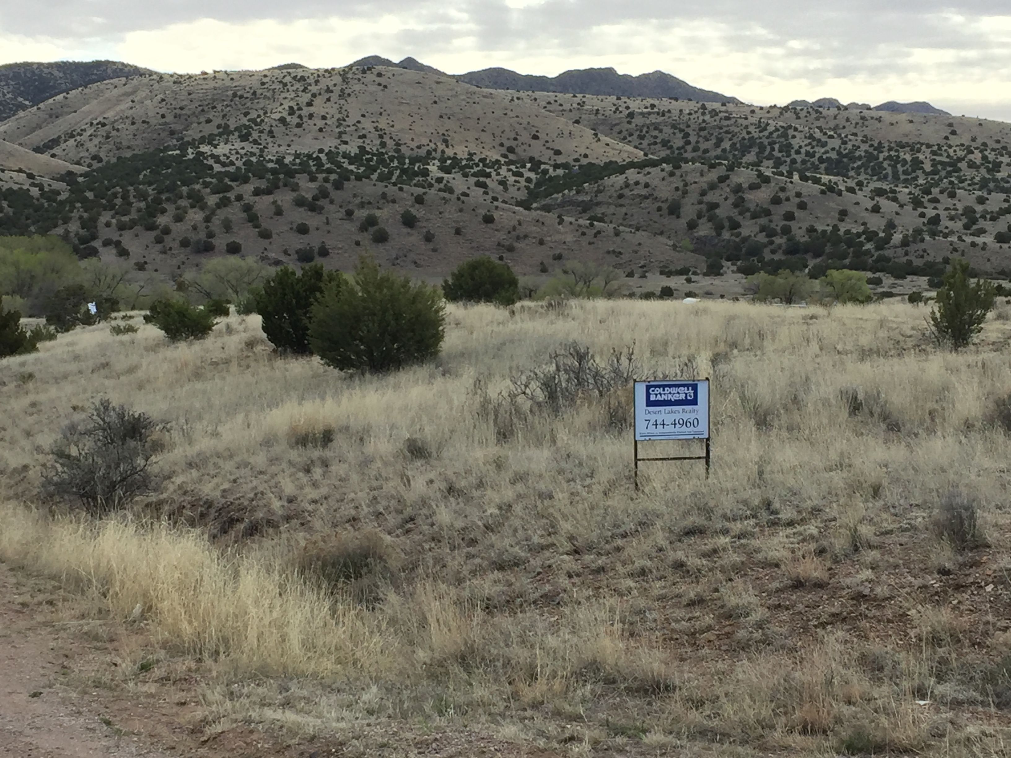 Winston, Sierra County, NM Undeveloped Land, Homesites for sale