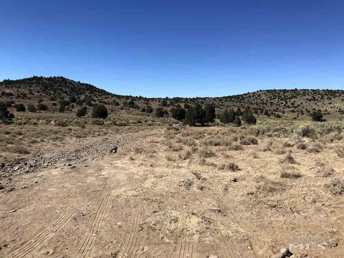 Virginia City, Storey County, NV Undeveloped Land for sale Property ID