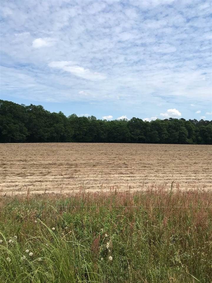 Red Level, Covington County, AL Undeveloped Land for sale Property ID 337765377 LandWatch