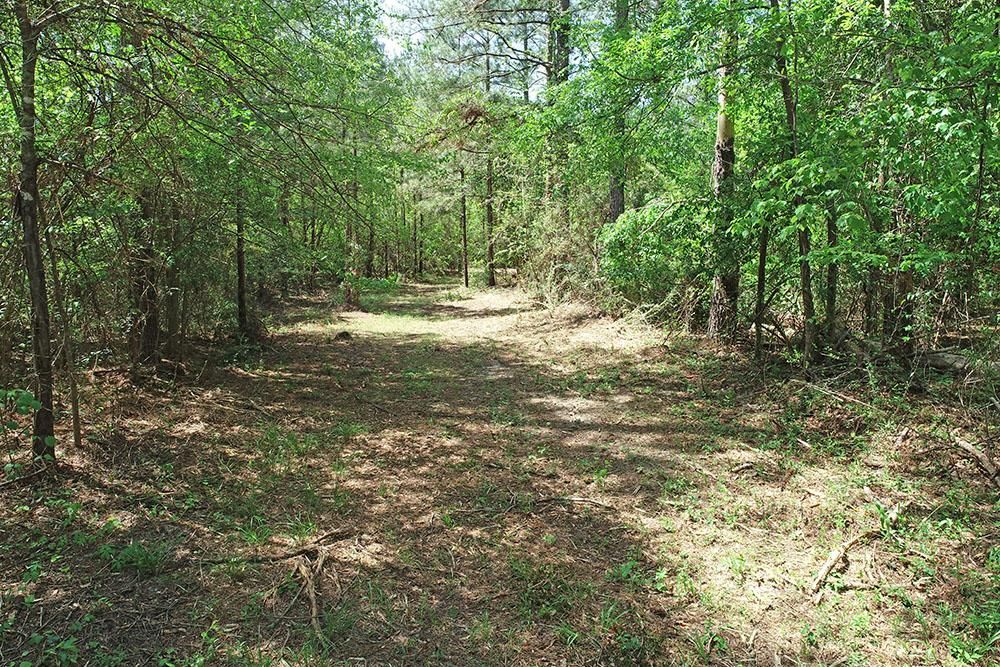 Phillips Road East, Moselle, MS 39459 LandWatch