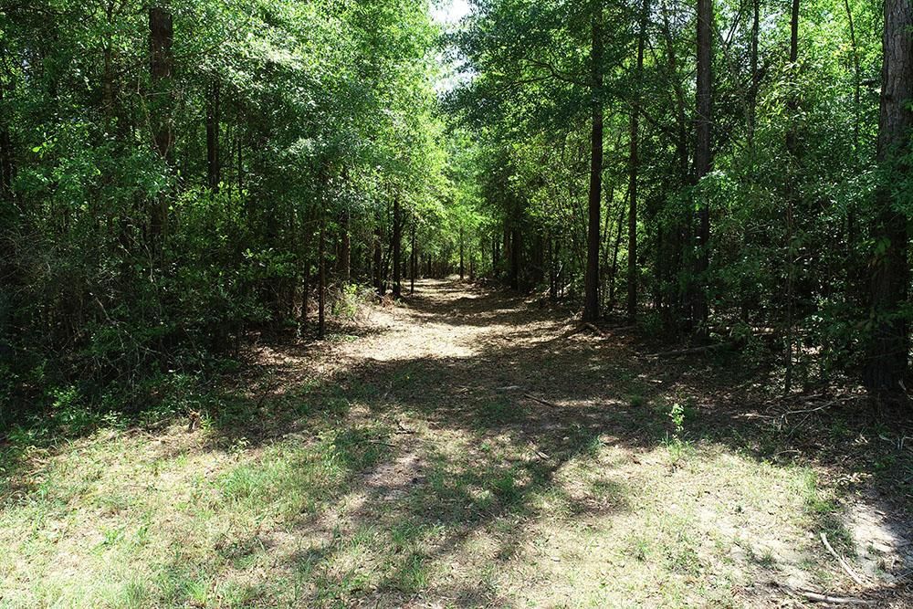 Phillips Road East, Moselle, MS 39459 LandWatch