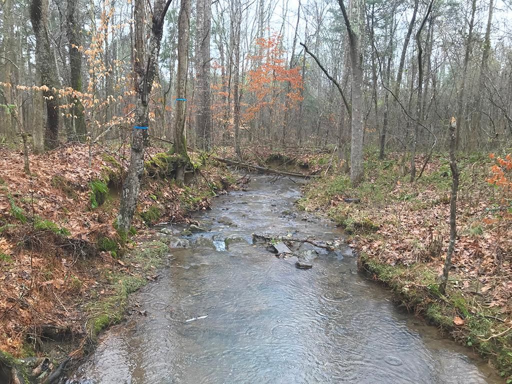 Rome, Floyd County, GA Recreational Property, Undeveloped Land, Hunting