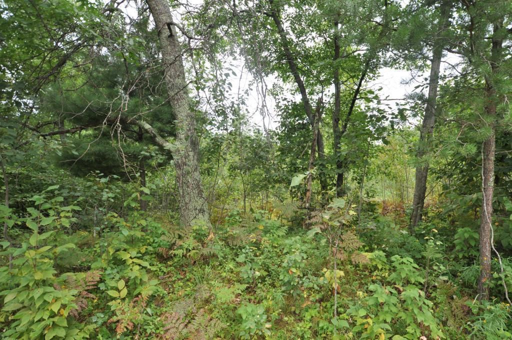 Merrifield, Crow Wing County, MN Undeveloped Land, Homesites for sale