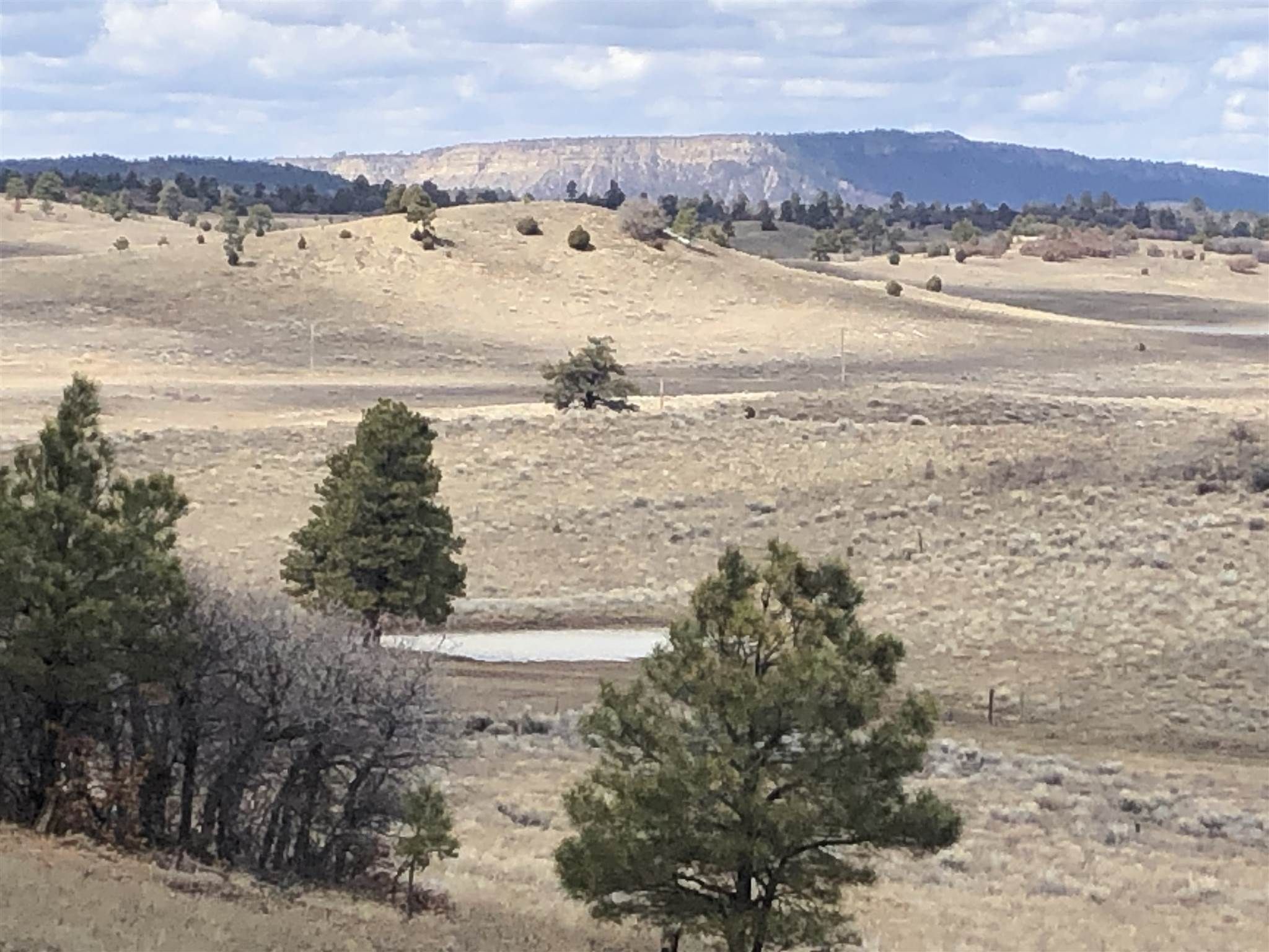 Chama, Rio Arriba County, NM Undeveloped Land for sale Property ID