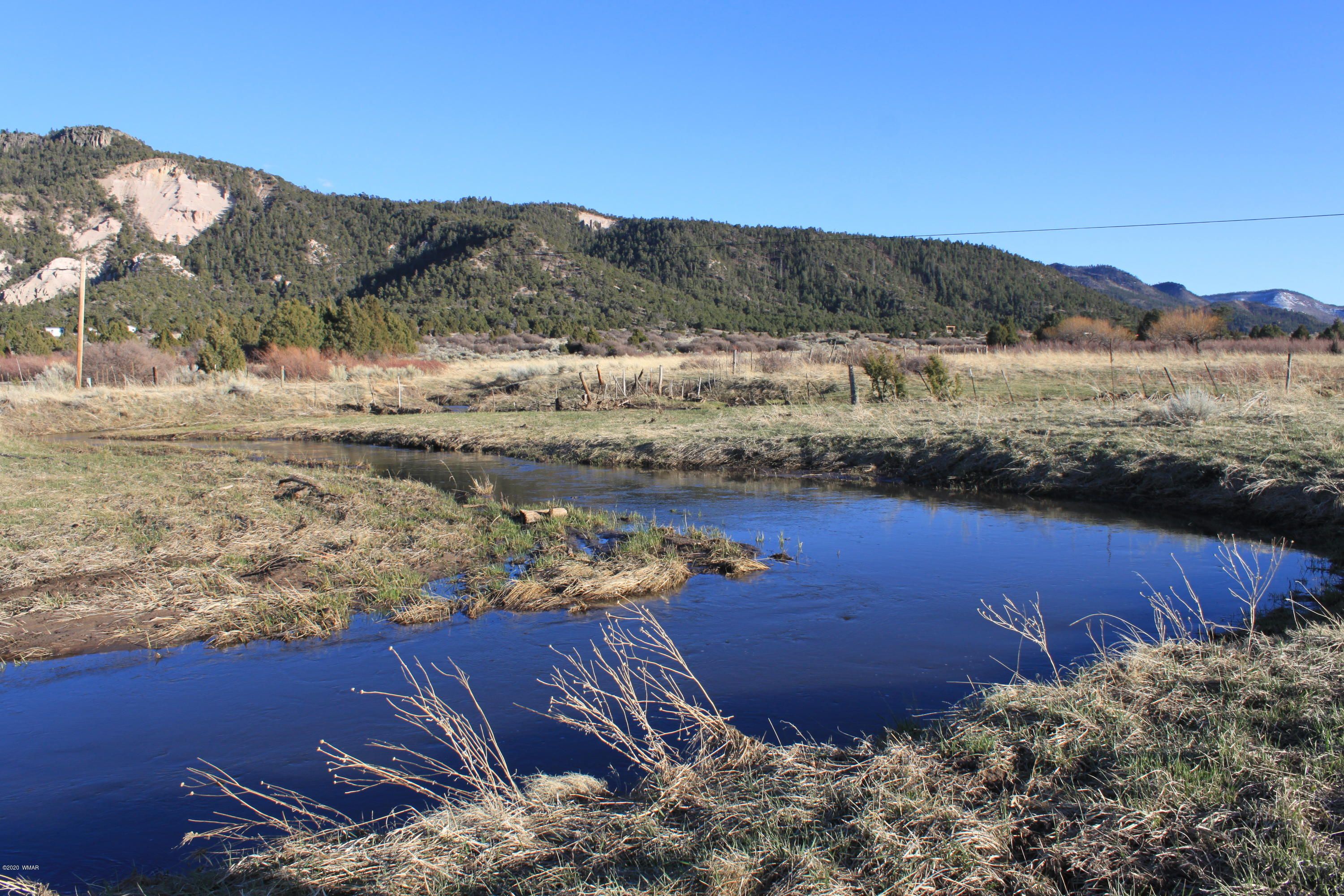 Nutrioso, Apache County, AZ Undeveloped Land for sale Property ID