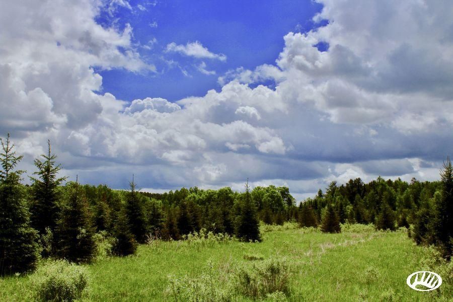 Finlayson, Pine County, MN Recreational Property, Timberland Property