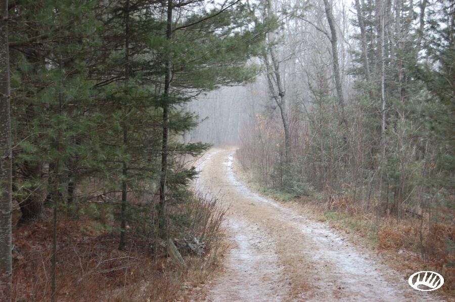 County, MI Farms and Ranches for sale Property ID