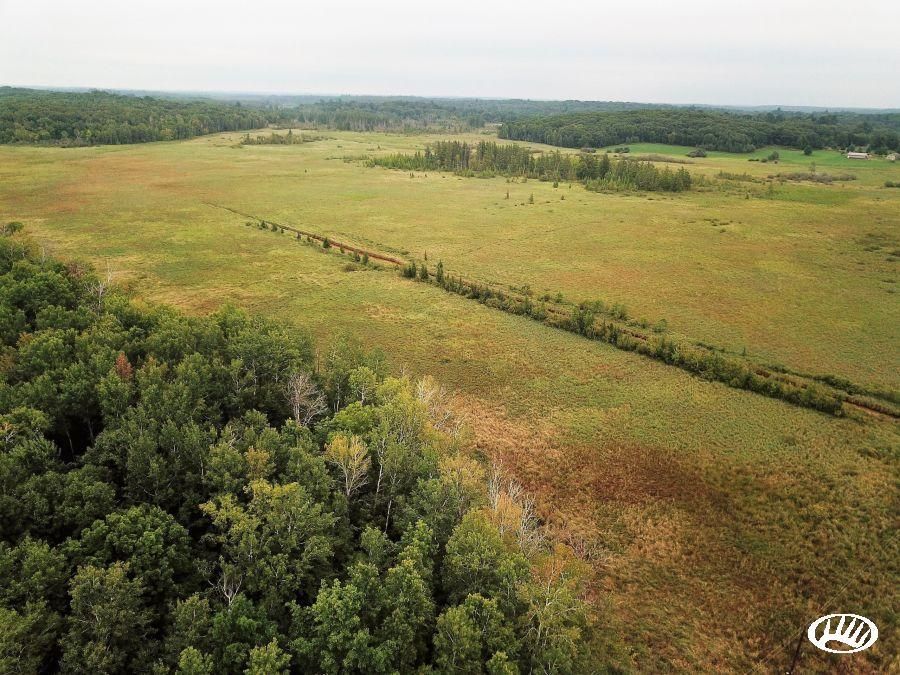 Long Prairie, Todd County, MN Recreational Property, Timberland