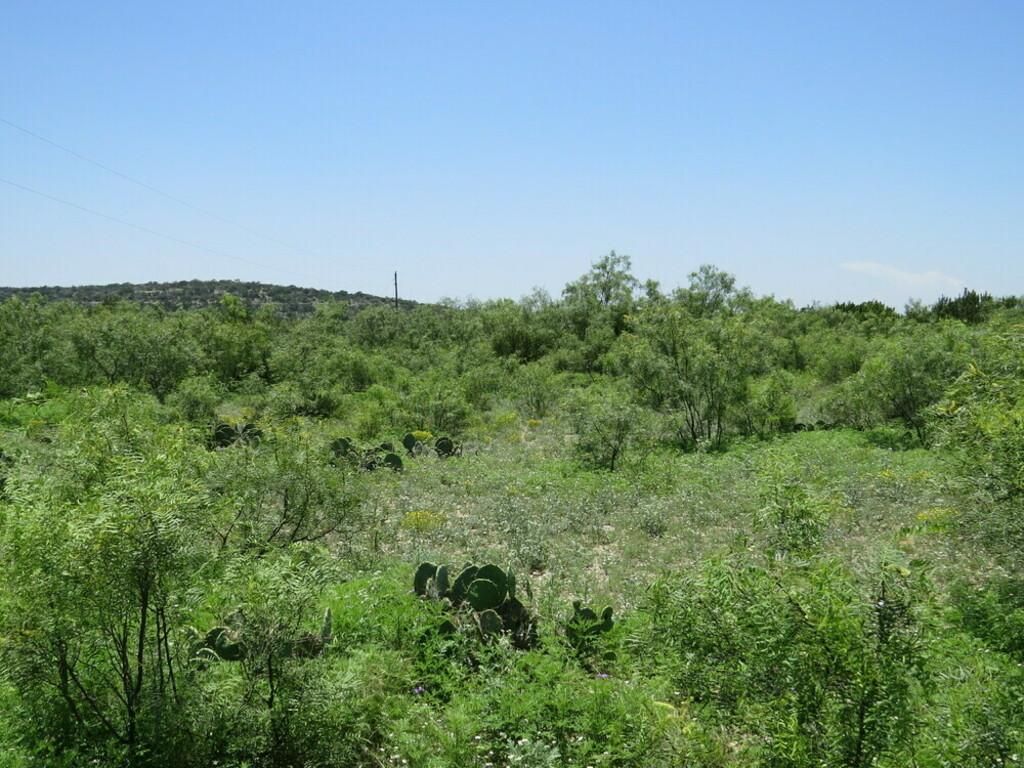 Sonora, Val Verde County, TX Recreational Property, Undeveloped Land
