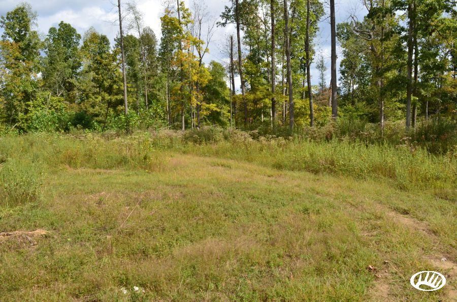 Dawson Springs, Hopkins County, KY Recreational Property, Timberland