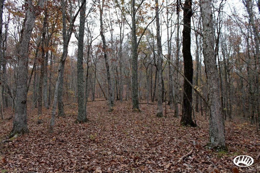 Mill Creek Road, LotWP001, Sunbright, TN 37872 LandWatch