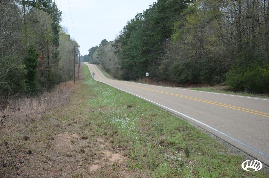 Chipola, Saint Helena Parish, LA Recreational Property, Timberland