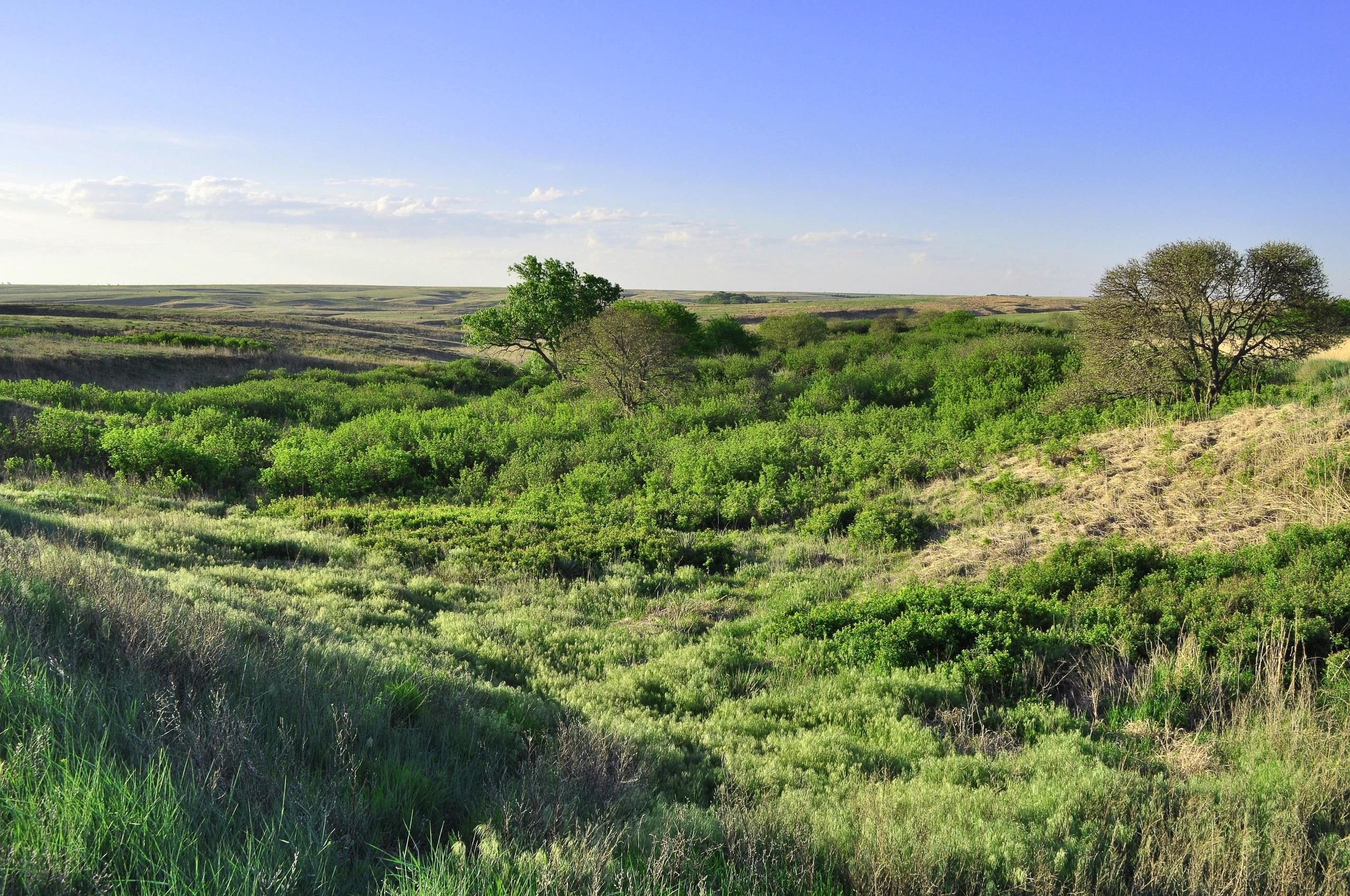 Ogallah, Trego County, KS Recreational Property, Hunting Property for