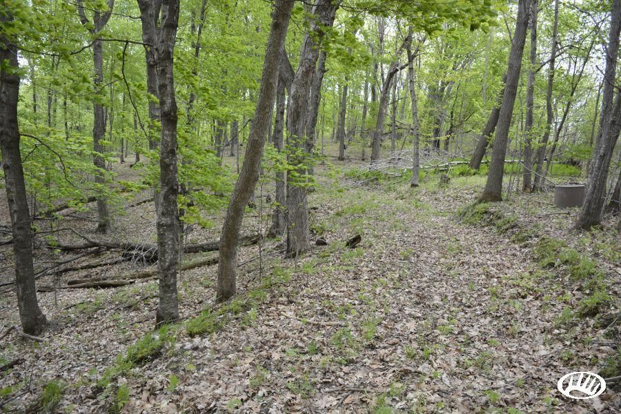 Maiden Rock, Pierce County, WI Recreational Property, Timberland
