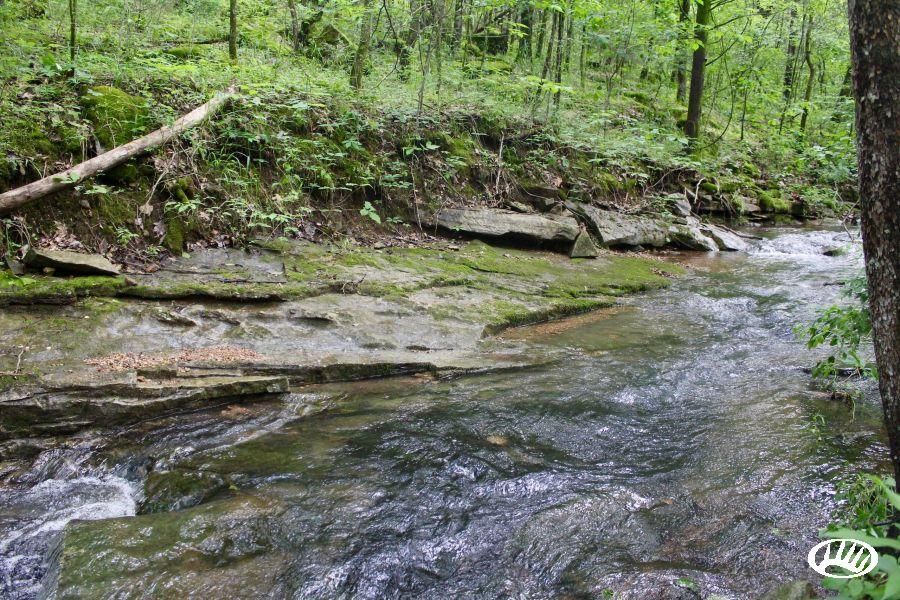 Cushman, Independence County, AR Recreational Property, Hunting