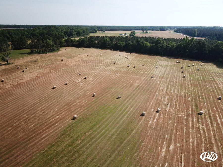 Enfield, Halifax County, NC Recreational Property, Timberland Property
