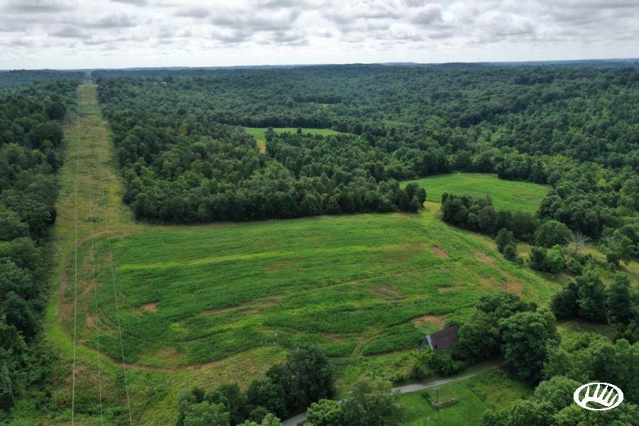 Clifty, Todd County, KY Recreational Property, Timberland Property