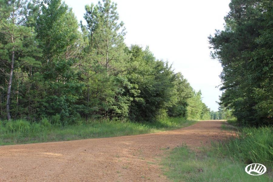 Cedar Bluff, Clay County, MS Recreational Property, Timberland Property
