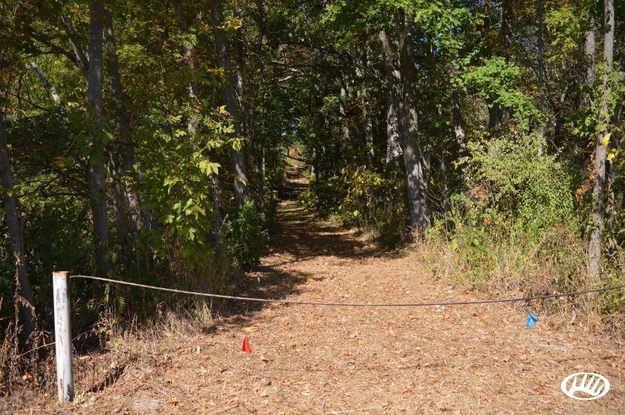 Herrick, Fayette County, IL Recreational Property, Timberland Property