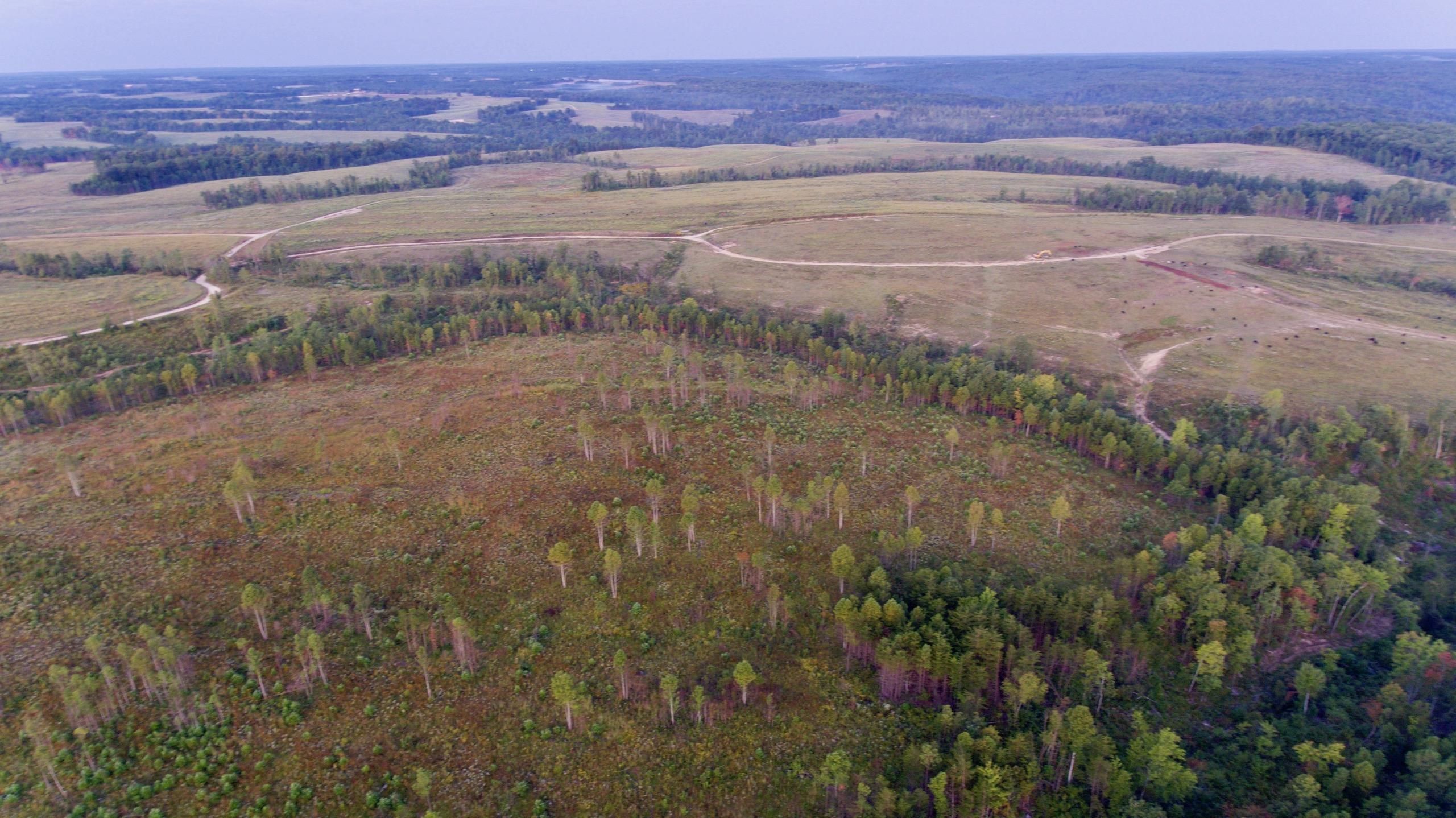 Deer Lodge, County, TN Recreational Property, Timberland