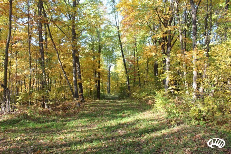 Onamia, Mille Lacs County, MN Recreational Property, Hunting Property