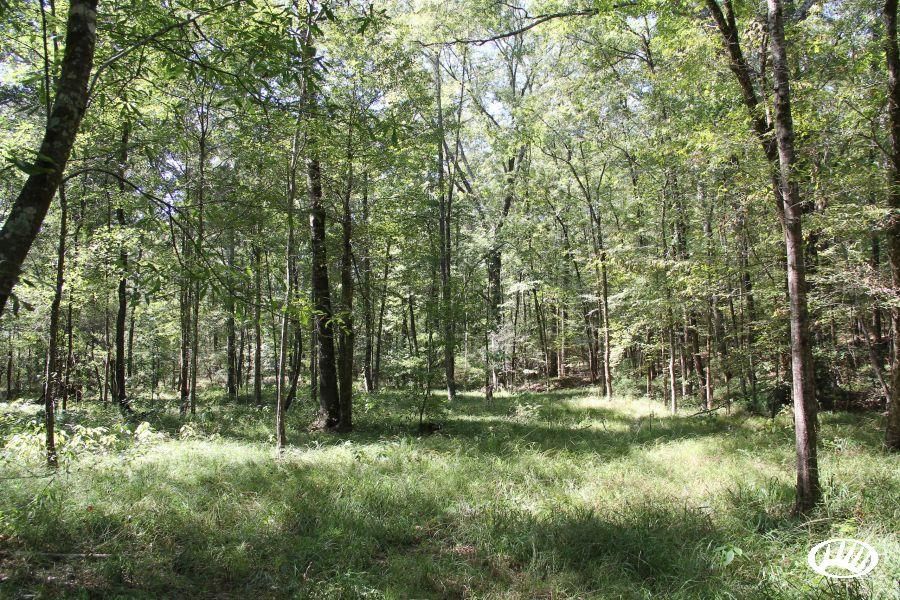 Union Church, Jefferson County, MS Recreational Property, Timberland