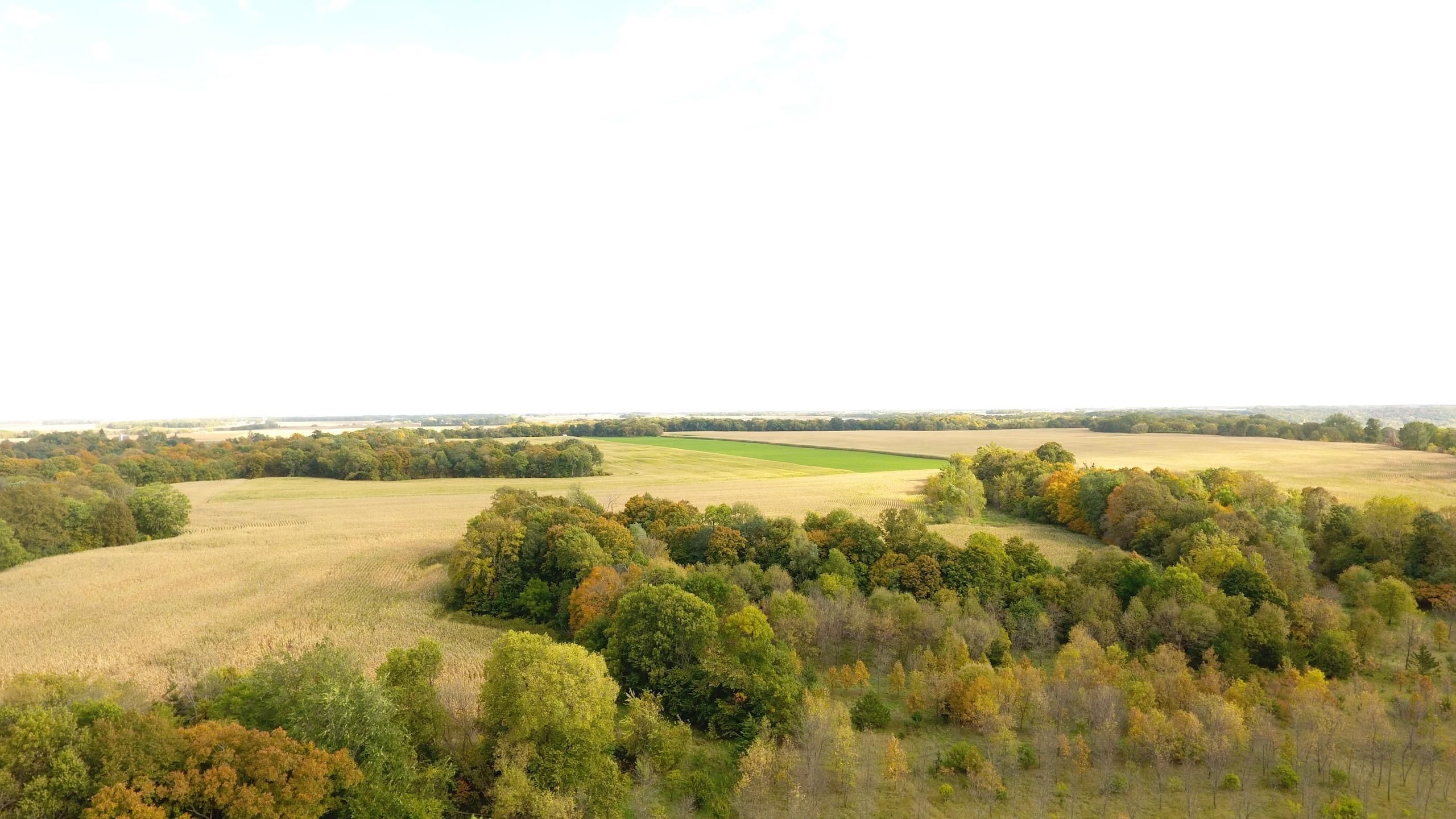 Ottawa, Le Sueur County, MN Farms and Ranches, Timberland Property