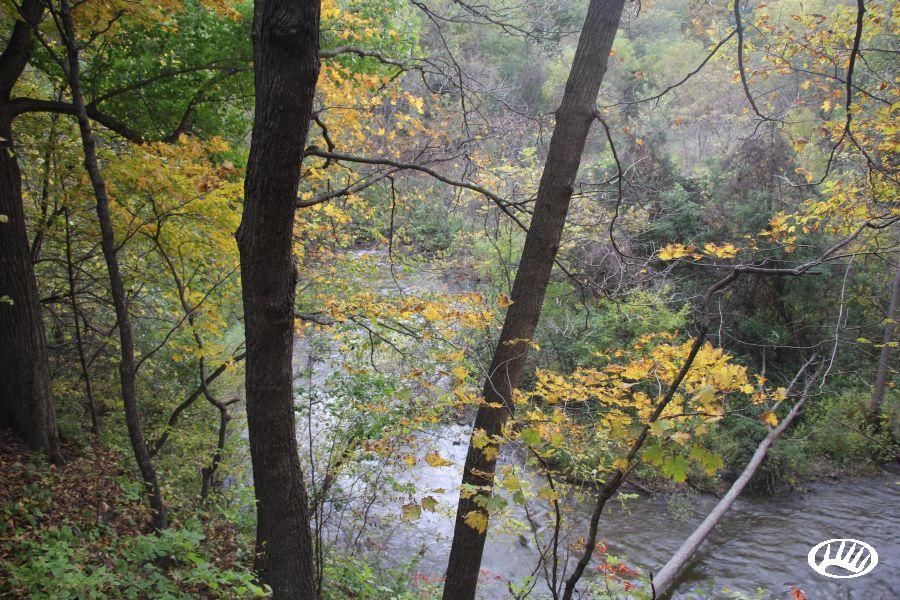 Ottawa, Le Sueur County, MN Farms and Ranches, Timberland Property