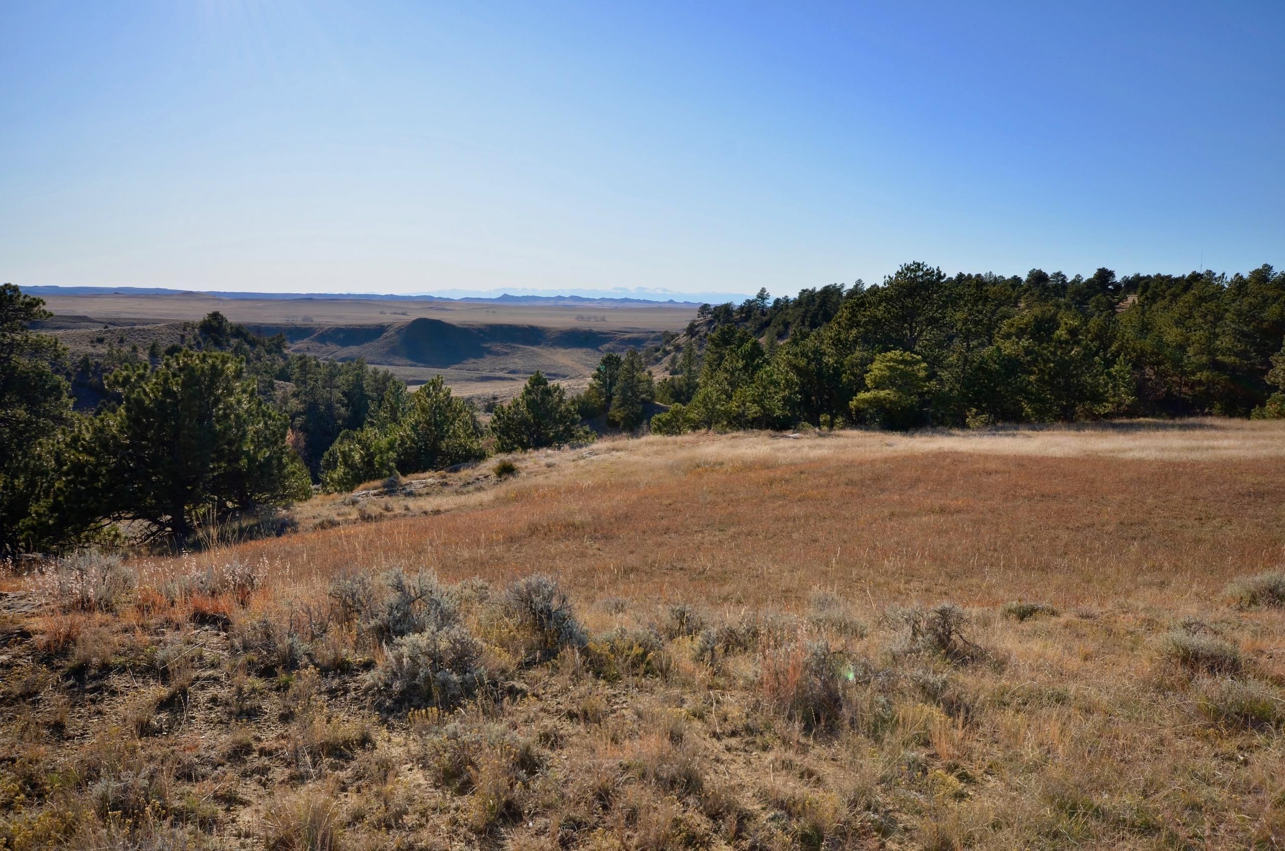 457 Greenough Road, Lot WP001, Recluse, WY 82831 LandWatch