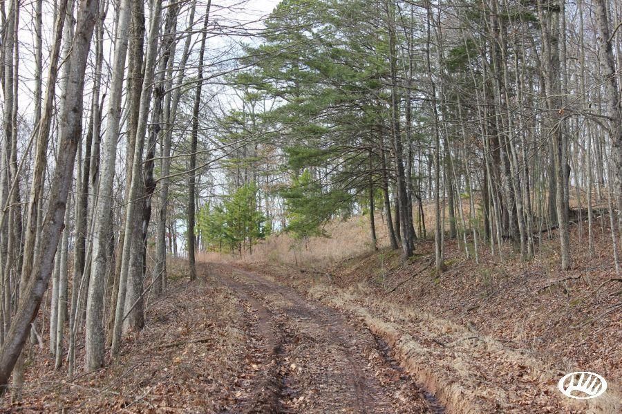 Norman Ridge Road, Lot WP001, Big Bend, WV 26136 LandWatch