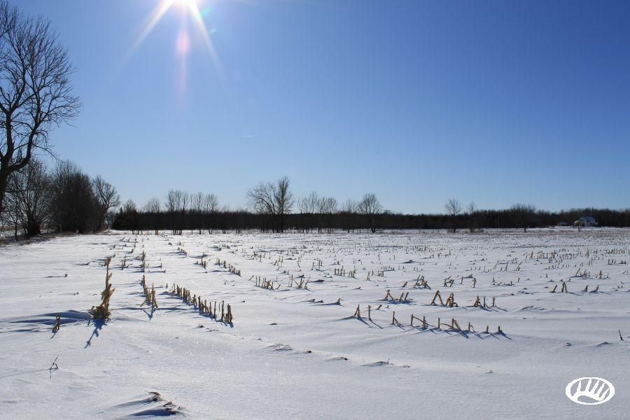 Forestville, Door County, WI Recreational Property, Timberland Property