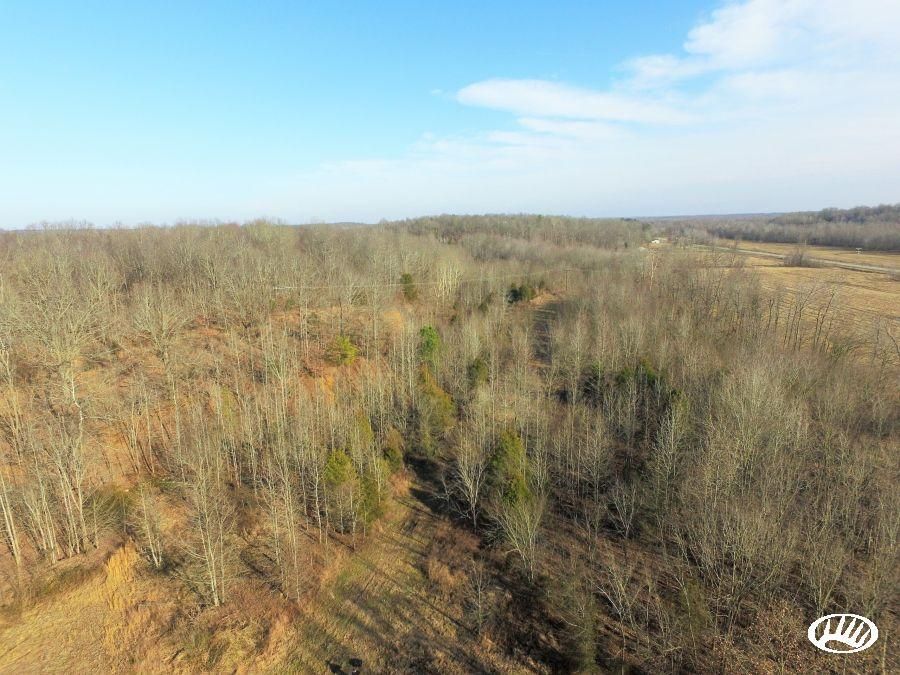 Nortonville, Hopkins County, KY Recreational Property, Timberland Property, Hunting Property for