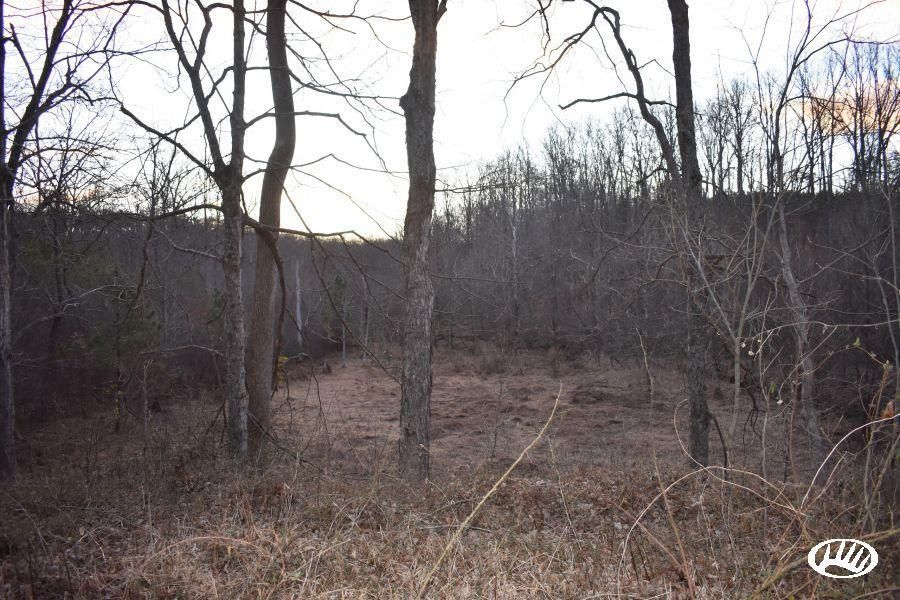 Reidsville, Rockingham County, NC Recreational Property, Timberland