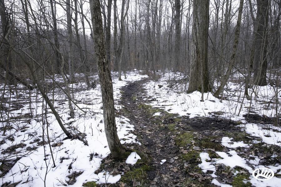Bloomingdale, Allegan County, MI Recreational Property, Hunting