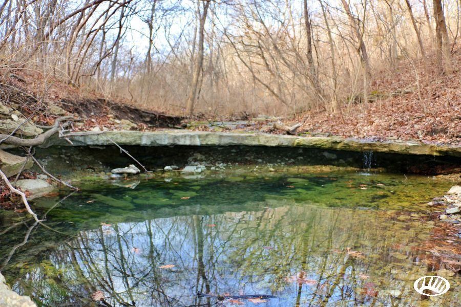 Excelsior Springs, Clay County, MO Recreational Property, Timberland