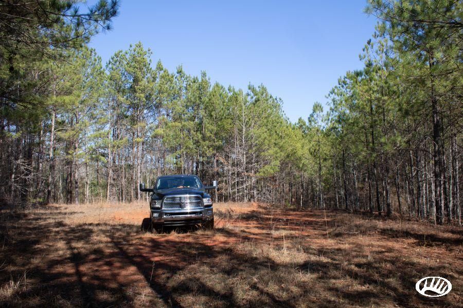 Weogufka, Coosa County, AL Recreational Property, Timberland Property
