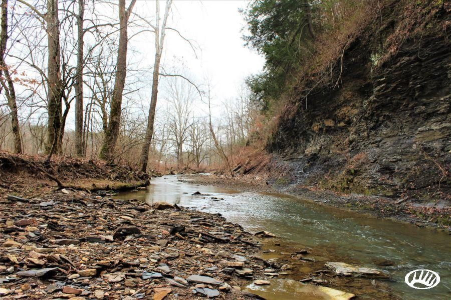 Booneville, Owsley County, KY Recreational Property, Timberland Property, Hunting Property for