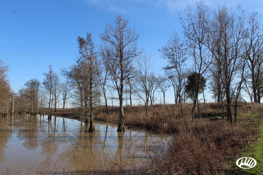 Widener, Saint Francis County, AR Recreational Property, Hunting