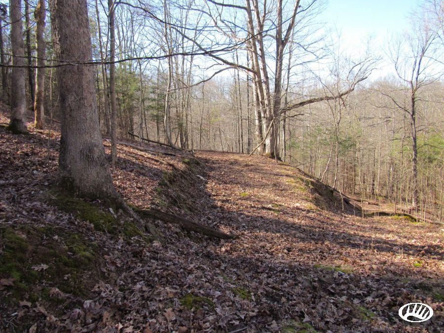 Leon, Mason County, WV Recreational Property, Timberland Property