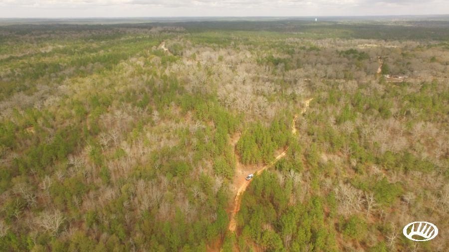 Chunchula, Mobile County, AL Recreational Property, Timberland Property