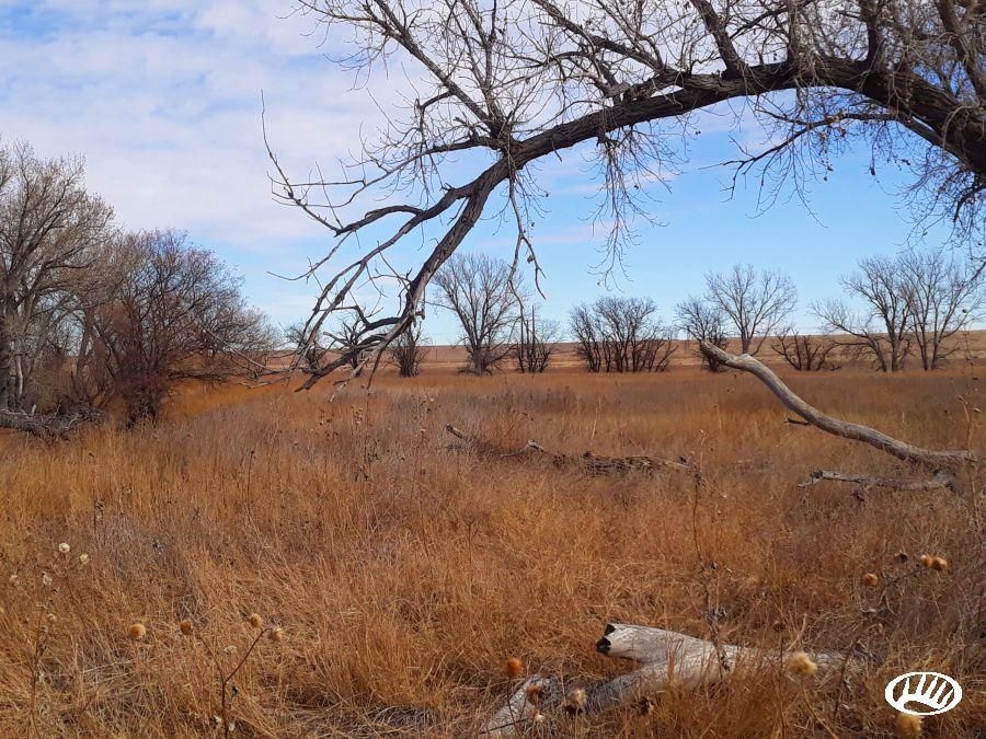 Ulysses, Grant County, KS Recreational Property, Hunting Property for