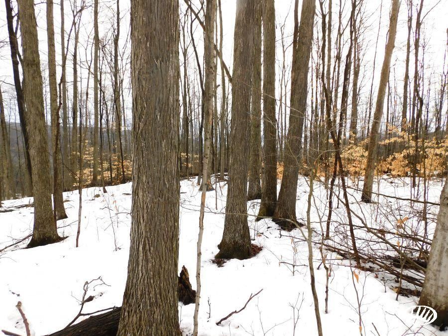 Russell, Warren County, PA Recreational Property, Timberland Property